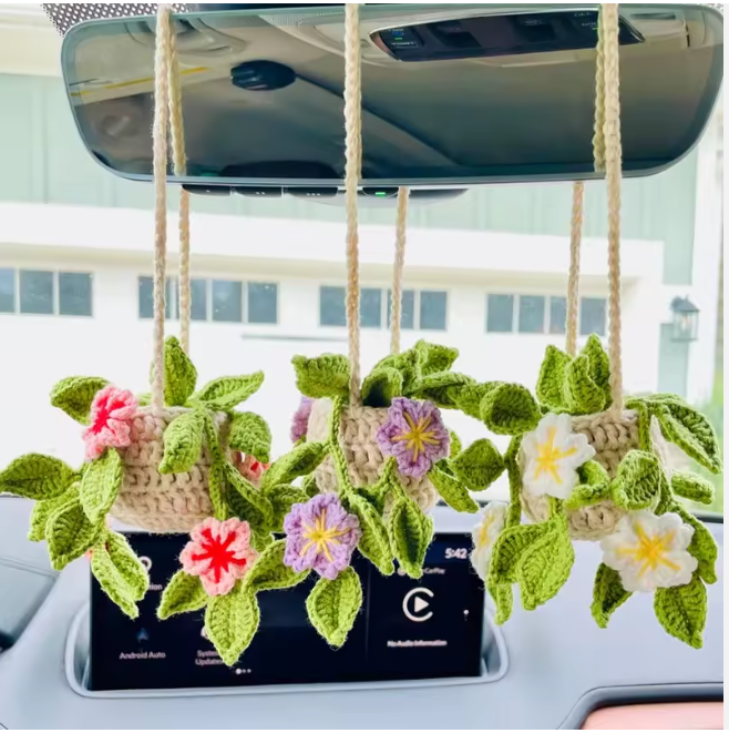 Hanging Potted Plants
